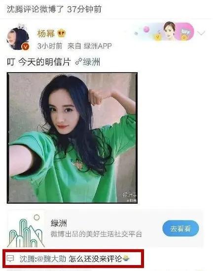 吃瓜娱乐圈小故事在线阅读  第2张
