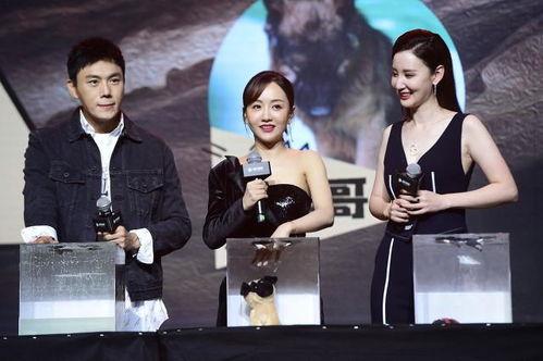 娱乐圈吃瓜综艺文推荐  第3张