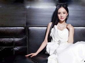 吃瓜娱乐圈杨幂是谁啊,娱乐圈当红小花杨幂的瓜田传奇  第3张